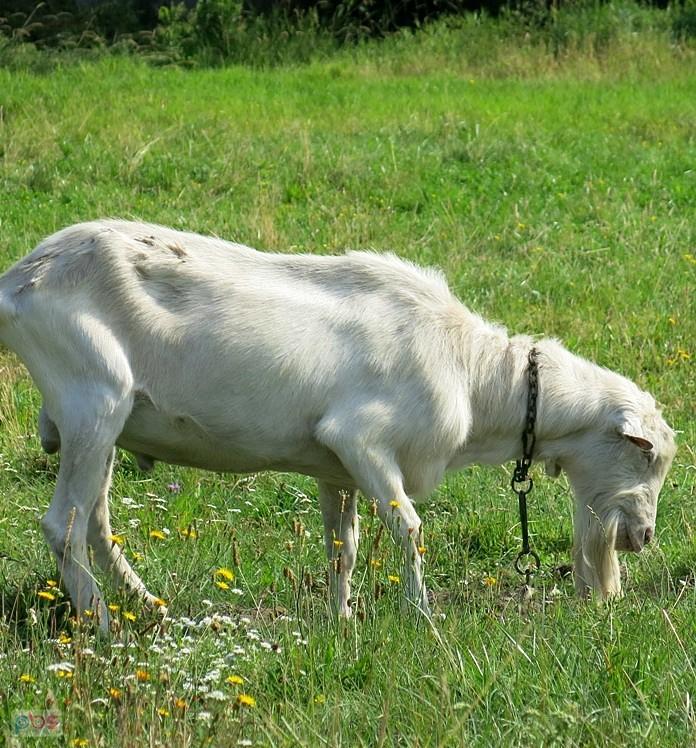 Pięknie mi pozujesz