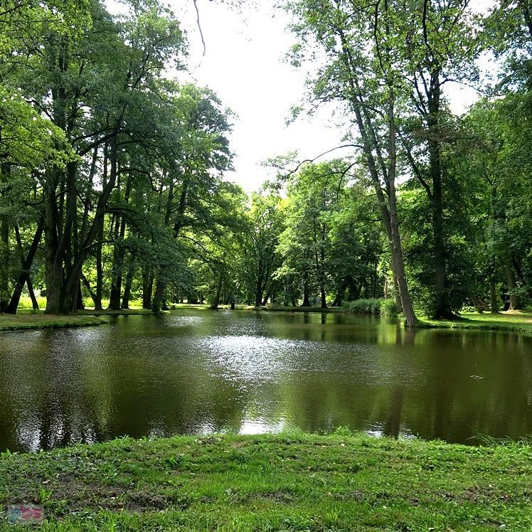 Park pałacowy - Ujazd