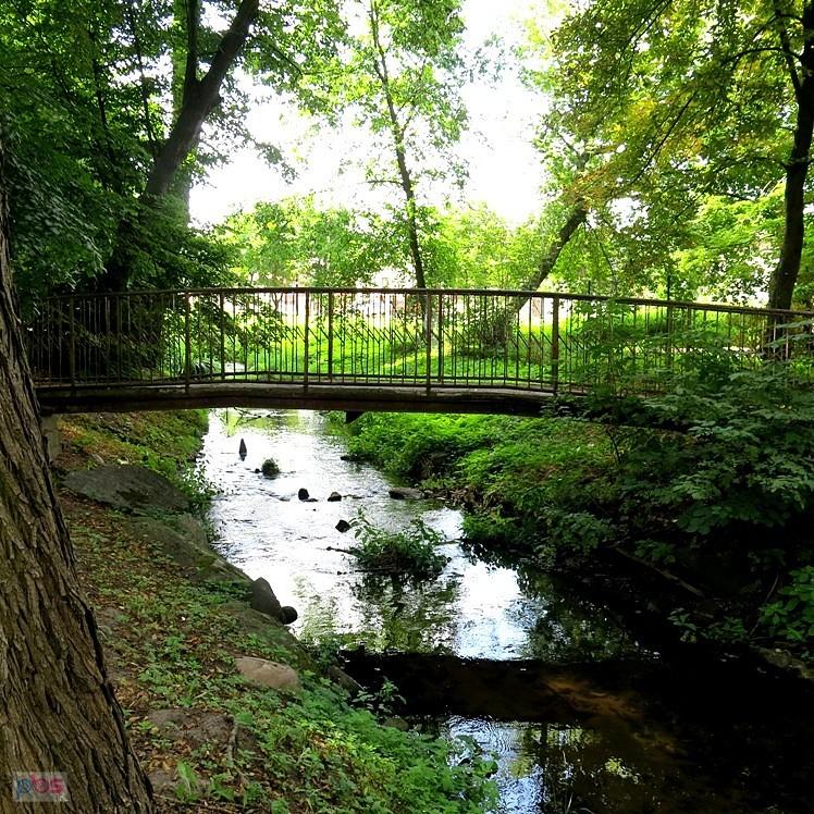 Przez mostek