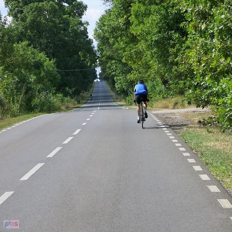 Rowerzystów dziś sporo na trasie