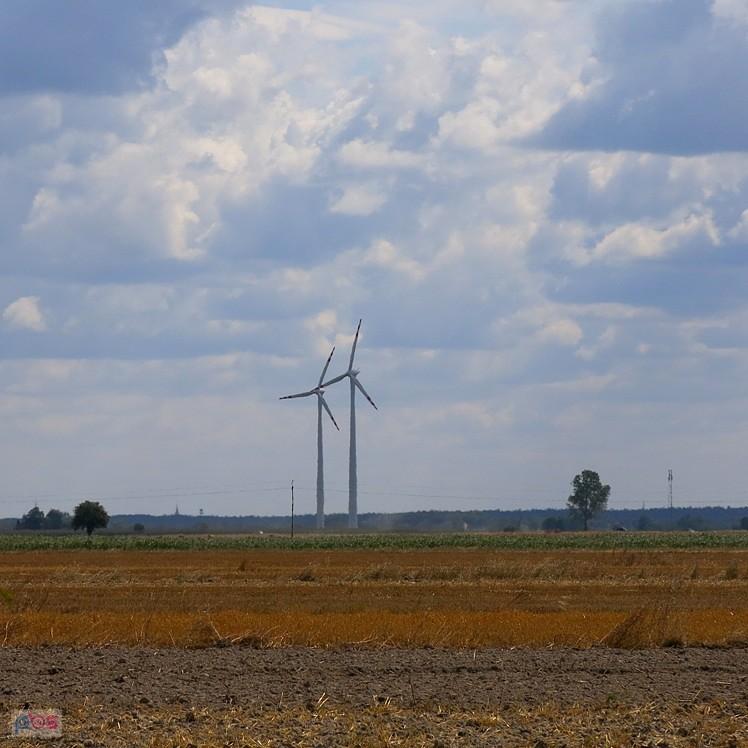 Zagłębie wiatraków