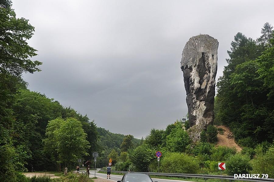 Maczuga Herkulesa