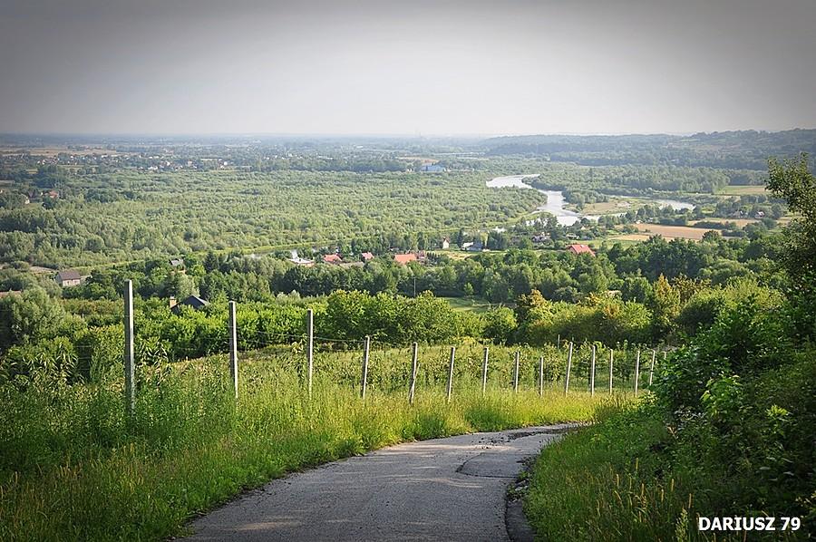 Dąbrówka Szczepanowska