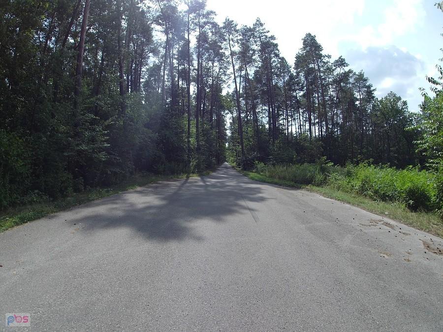 Dalszy odcinek tej samej drogi