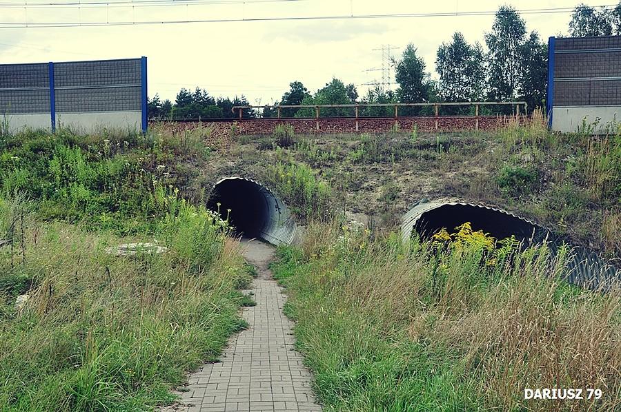 Jaworzno - Długoszyn