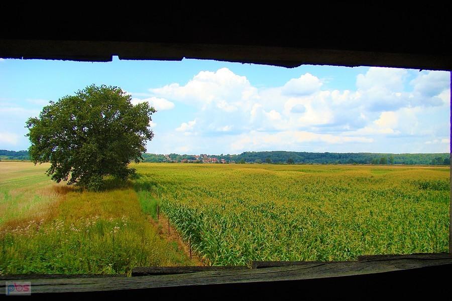 Widok z ambony na wieś Bobrowniki.