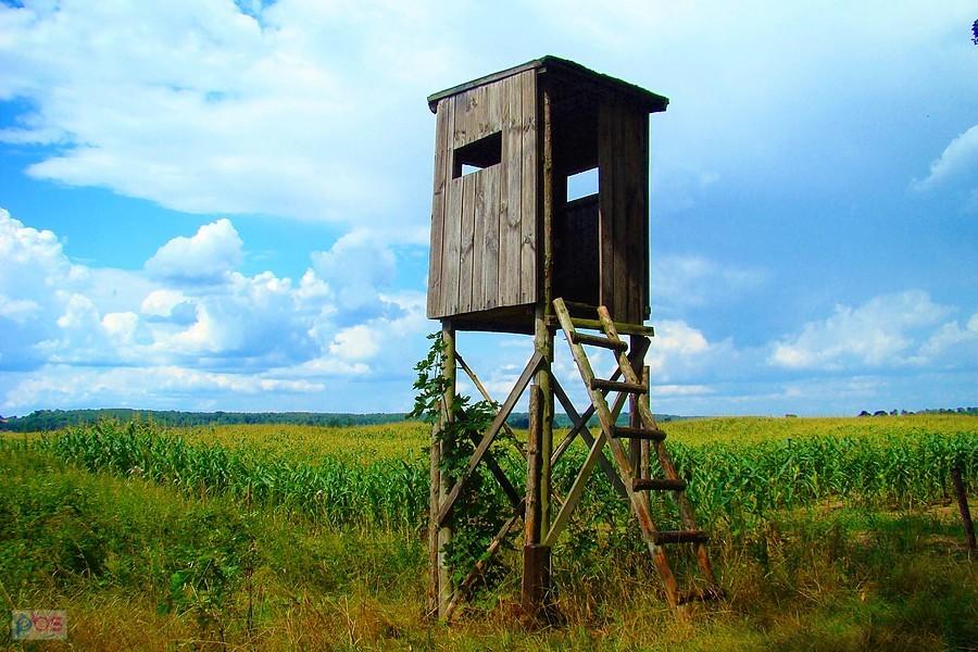 Tu przeczekaliśmy deszcz.