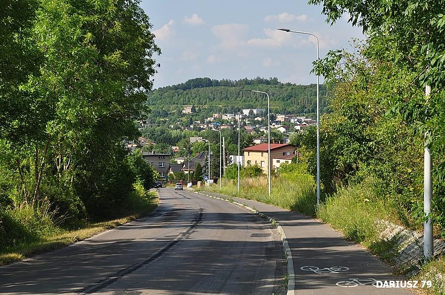 Rogoźnik