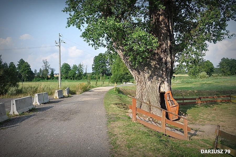 Chudów - Topola TEKLA