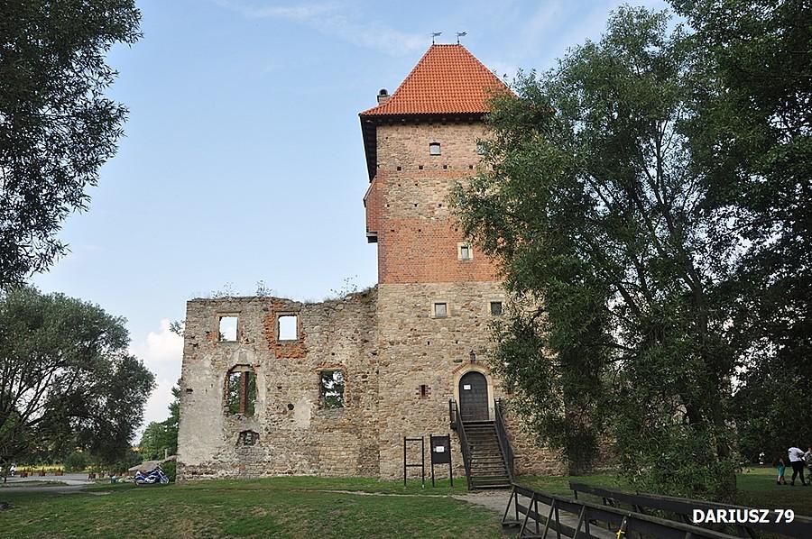 Zamek - Chudów