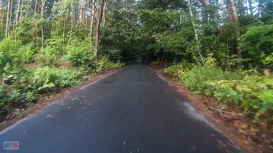 Asfaltowa leśna ścieżka :)