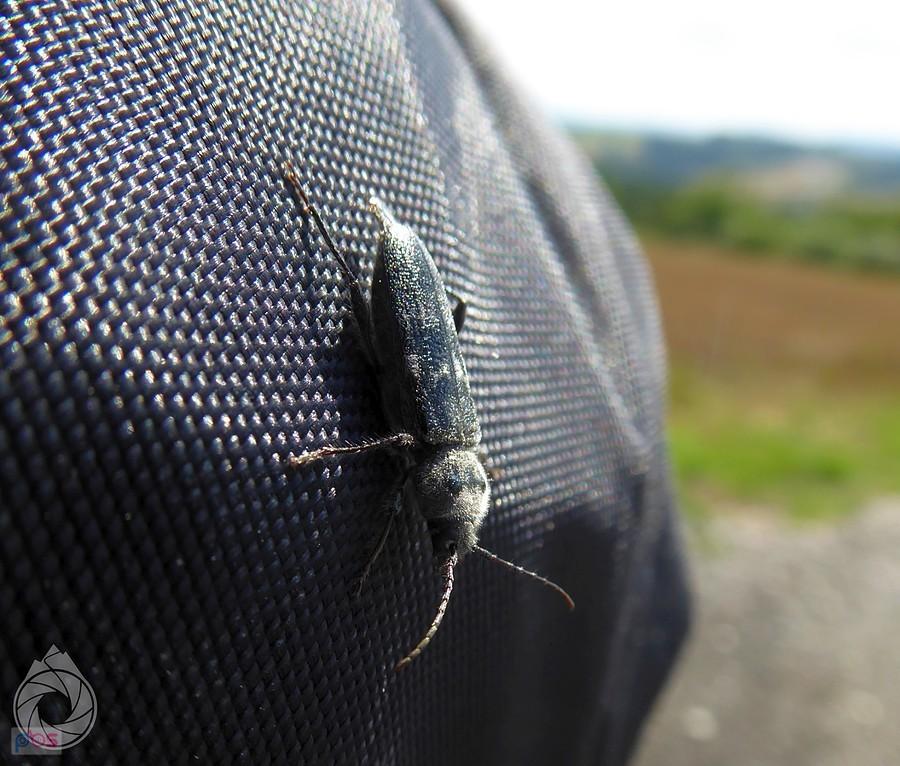 spuszczel postanowił zabrać się ze mną