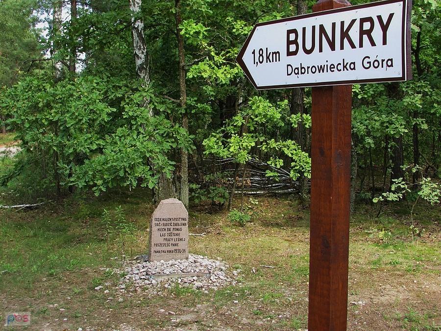 Kamień Leśników w Lasach Otwockich