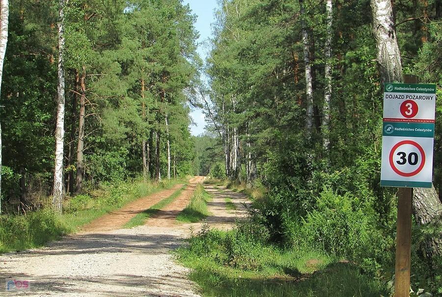 Skrzyżowanie szlaków Biała Góra - widok na ceglankę