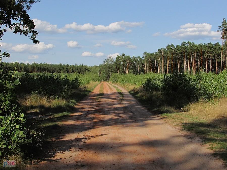 Ceglanka - czerwona droga ułożona z cegieł w czasie II wojny światowej