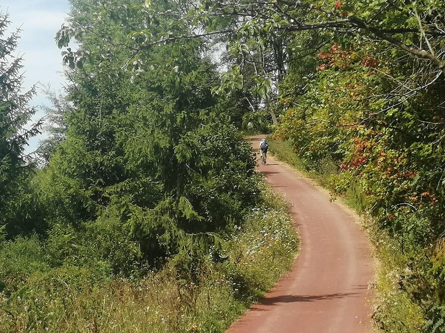Velo Dunajec i Mala na ostrym podjeździe.