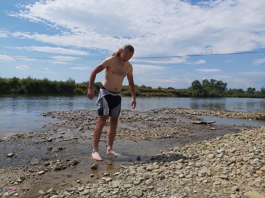Baka brodzi w Dunajcu