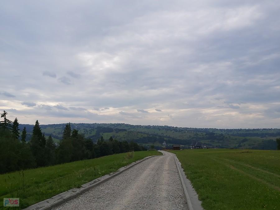 Droga w stronę Bukowiny w romencie