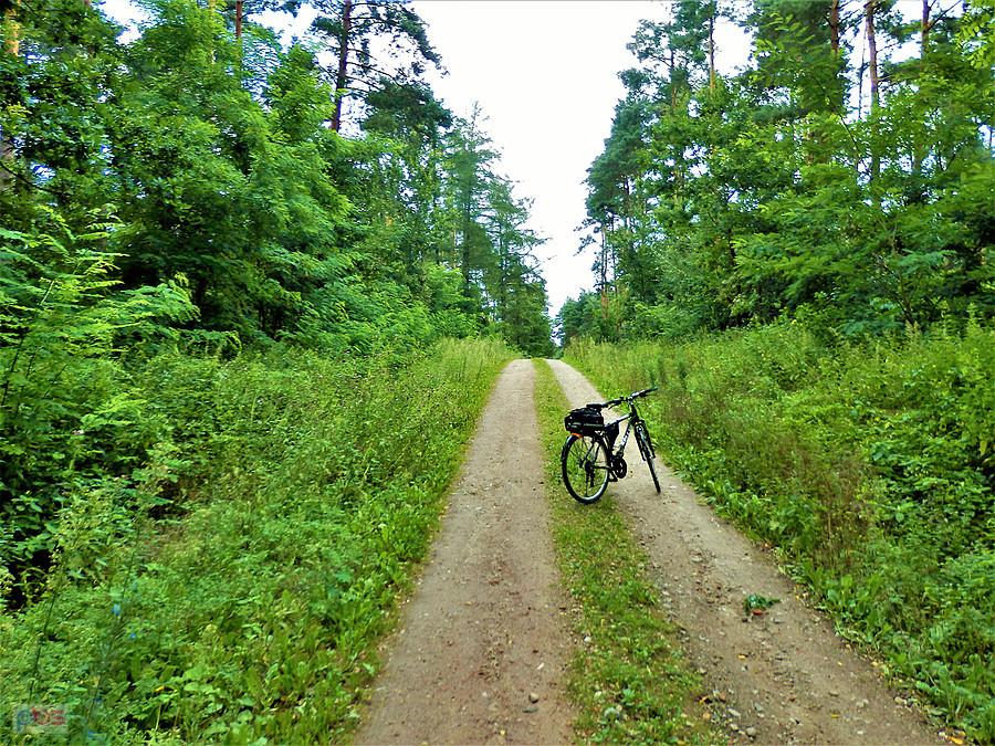 Rowerem po Kociewiu - okolice Tczewa.