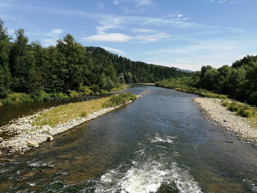 Rzeka Dunajec.