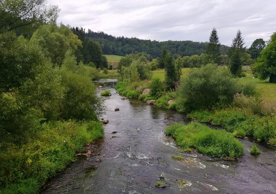 Bobrowania ciąg dalszy