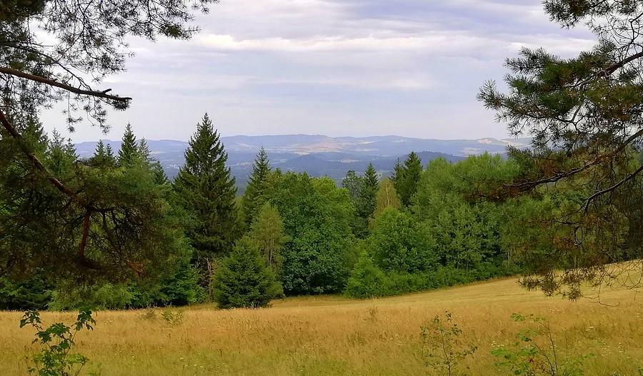 Przełęcz Pod Średnicą z górki