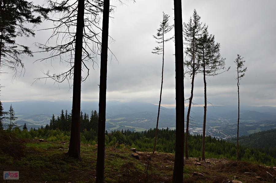 Widok na Jesenik/Česká Ves
