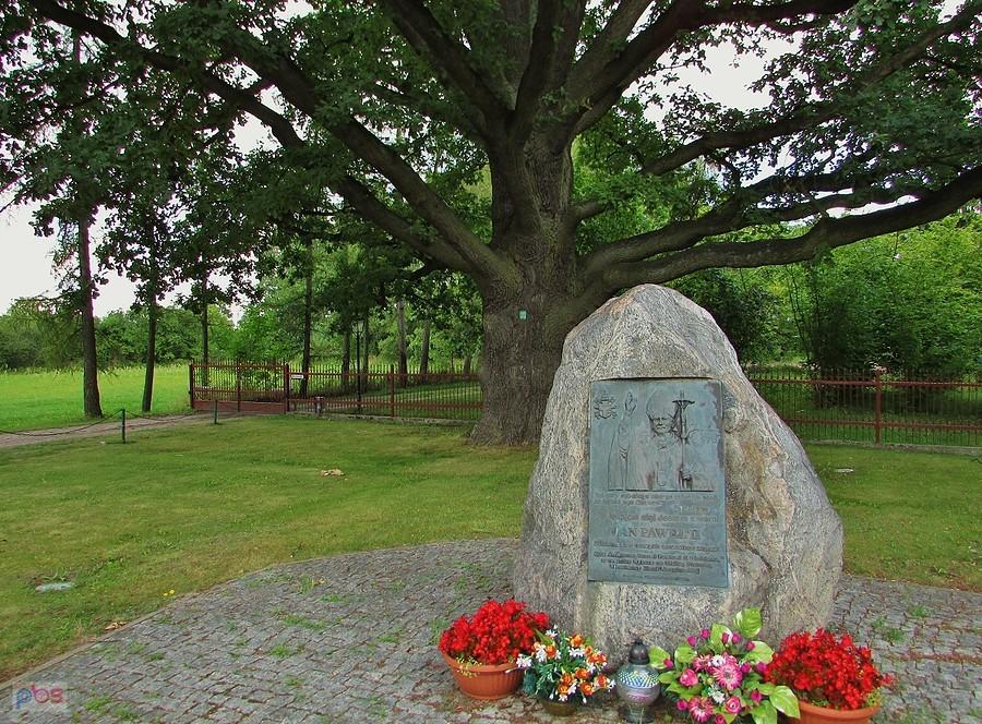 Kampinos - pomnik przyrody dąb Stefan Wyszyński i pamiątkowy kamień poświęcony JPII