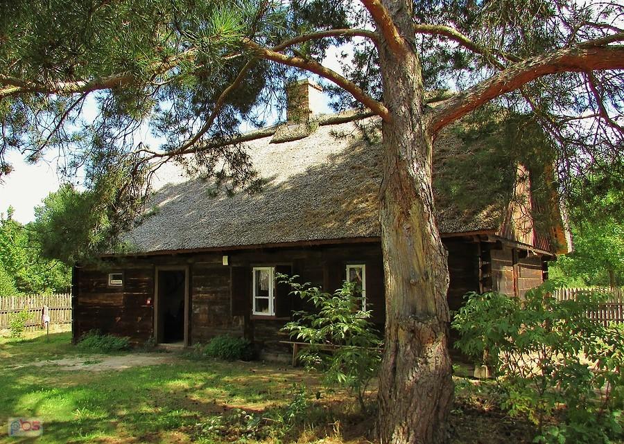 Granica - chałupa Wiejckiej od strony podwórza