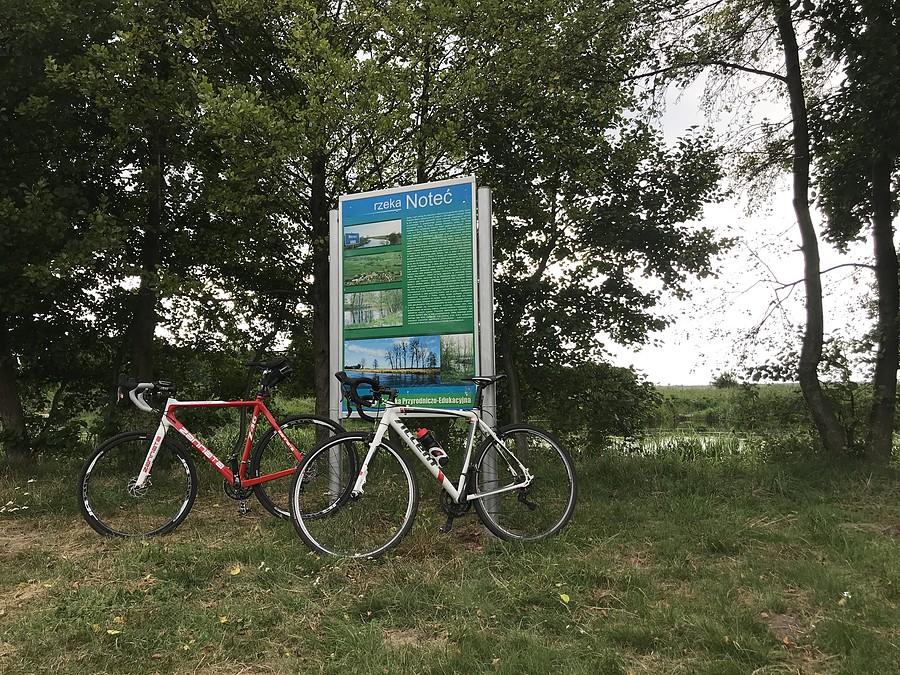 Nad Notecią w Walkowicach