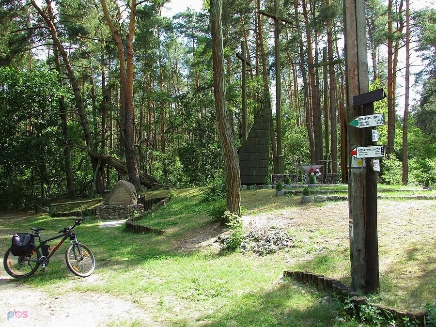 Górki - skrzyżowanie szlaków przy Sośnie Powstańców 1863 roku