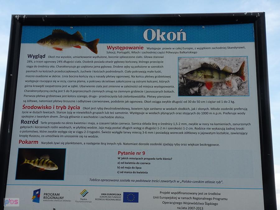 podaję hasło "OKOŃ!!"