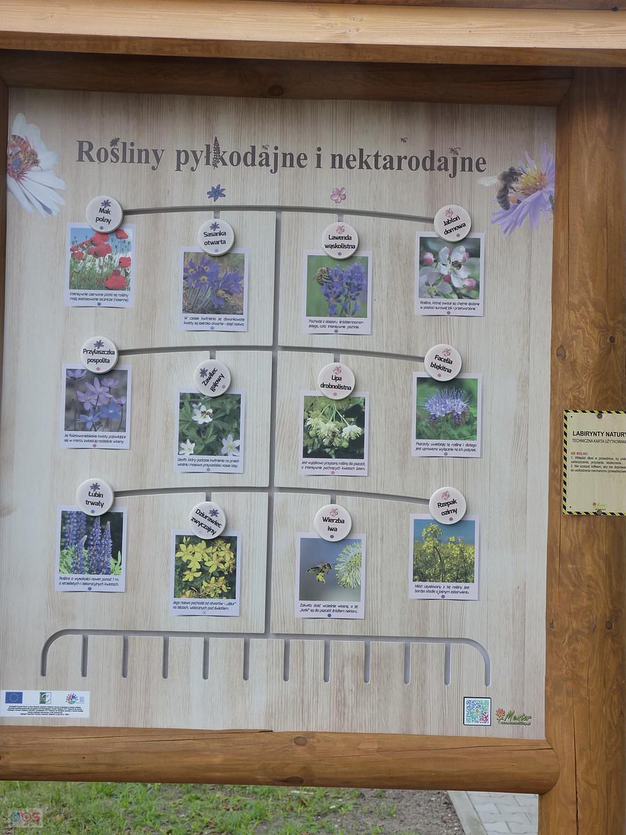 zagadka chyba rozwiązana