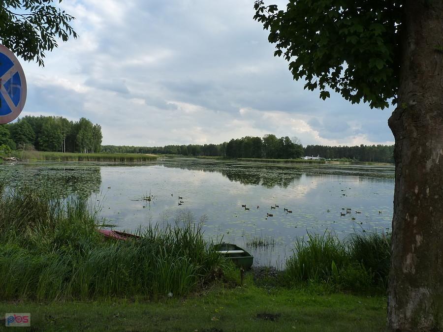 Zielona