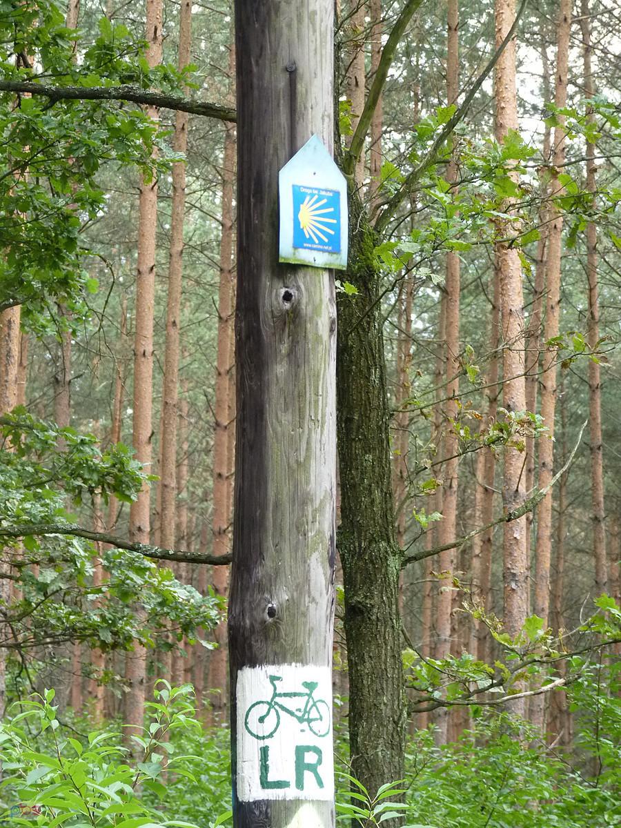 no i Camino się znalazło
