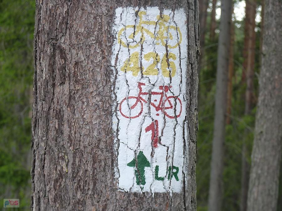 to którędy teraz?