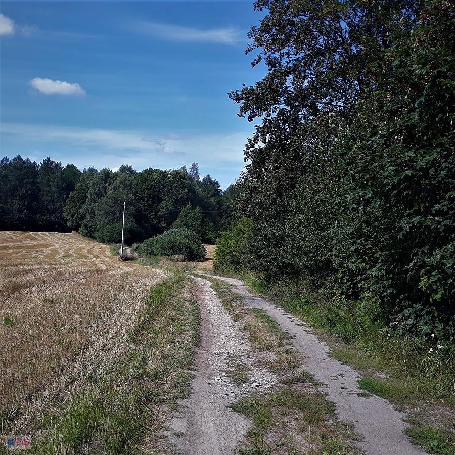Kaszubskie gruntówki