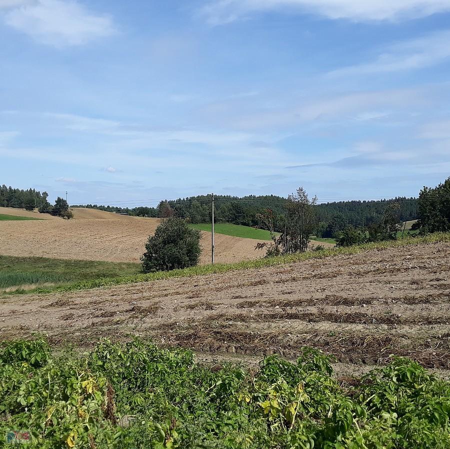 Pola, lasy...brakuje jezior