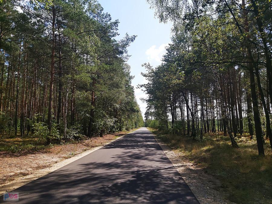 Droga gdzieś za Odolanowem