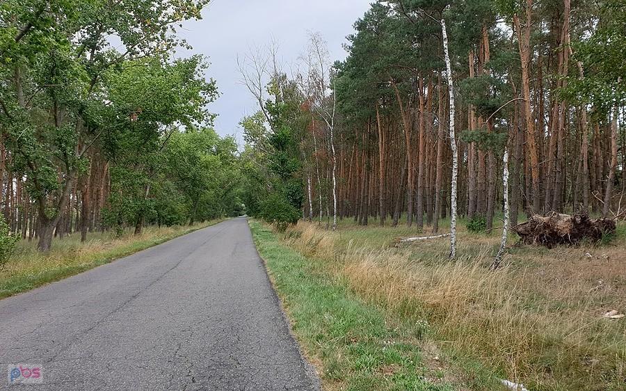 Droga do Lubczyny za Czarną Łąką