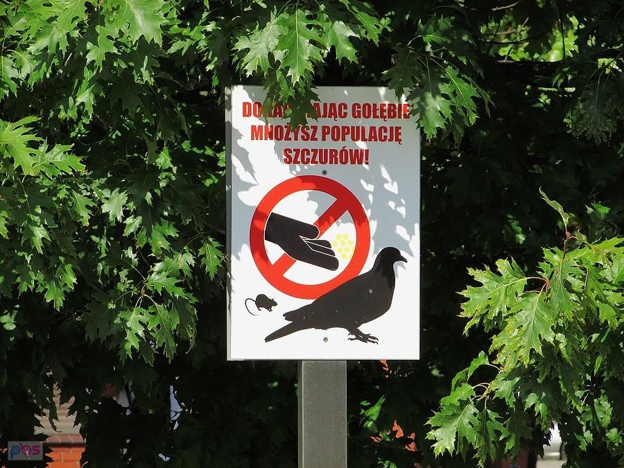 Błonie - tablica na Rynku