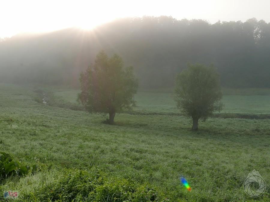 na pogórzach z rana