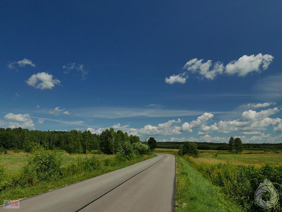 droga przez lasy i pola kolbuszowskie