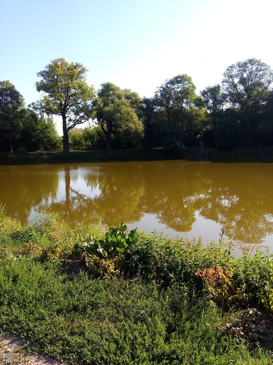 Obowiązkowo staw