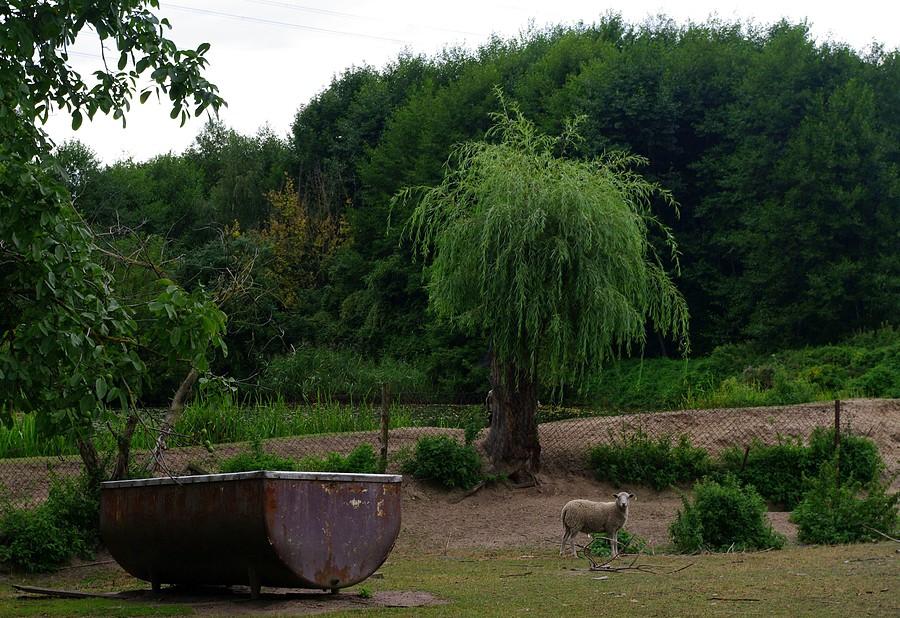 Kilka kilometrów od Poznania... :) - Wielkopolski Park Narodowy