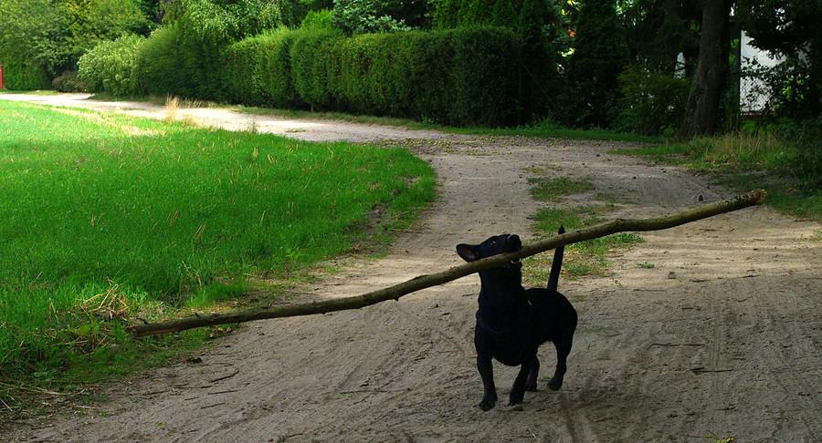 Klasyczny klasyk - Wielkopolski Park Narodowy