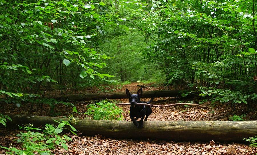 Hipika dla tych z gatunku XXXXXS :) - Wielkopolski Park Narodowy