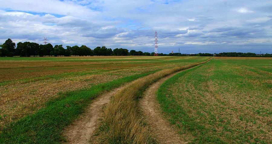WLKP-widok na codzienność - Wielkopolski Park Narodowy