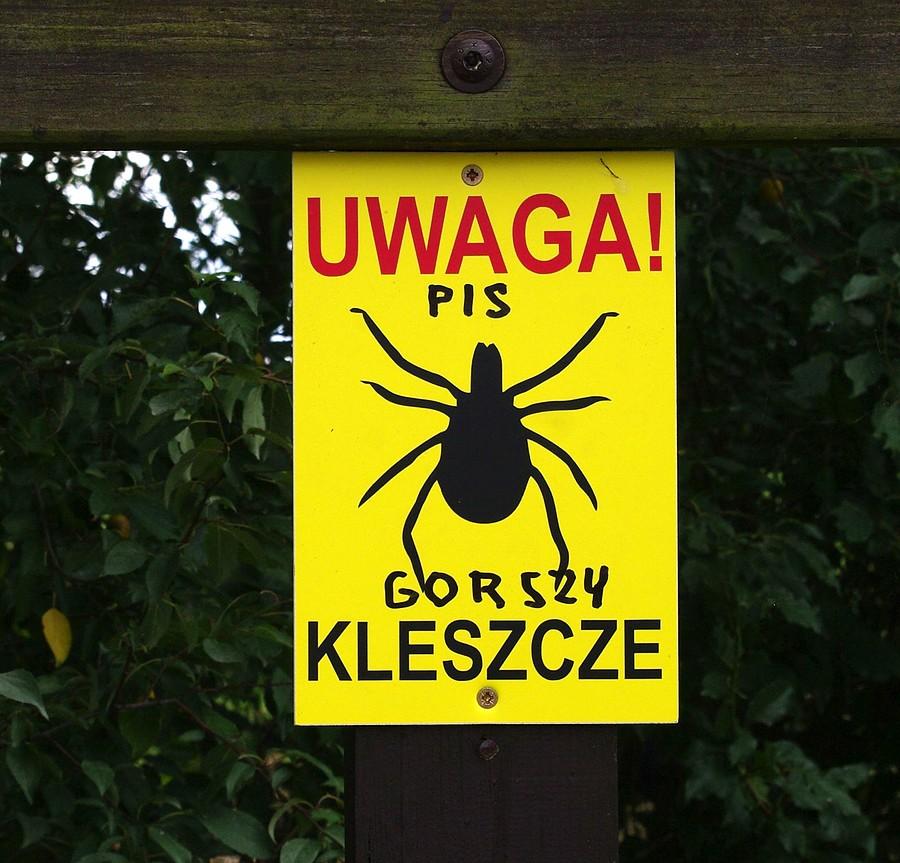 Mądrość Ludzi Lasu :) - Wielkopolski Park Narodowy