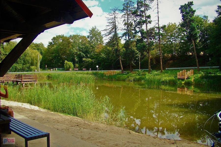 Kurów Mały - zrewitalizowany staw